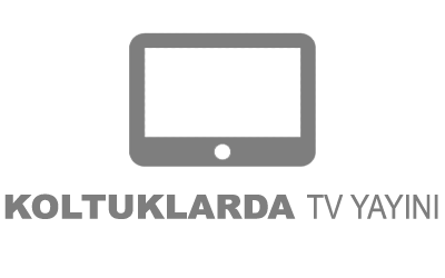 Koltuk Arkası TV